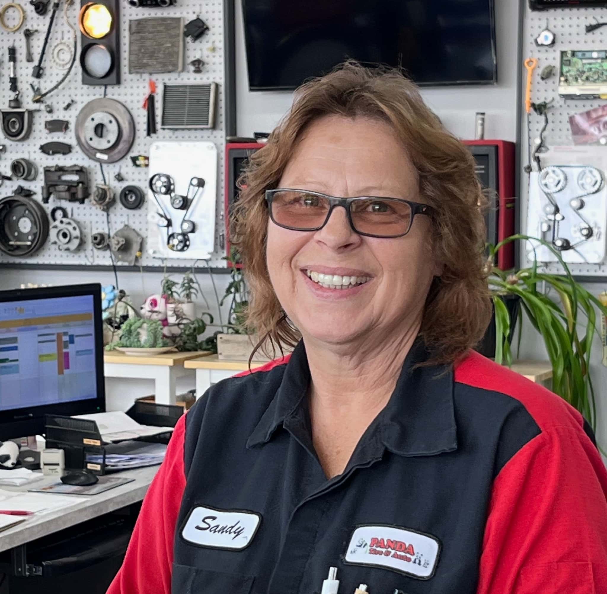 AUTOMOTIVE SERVICE CONSULTANT / CUSTOMER SERVICE REPRESENTATIVE